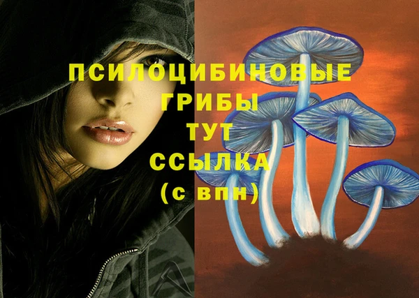 хмурый Верхний Тагил