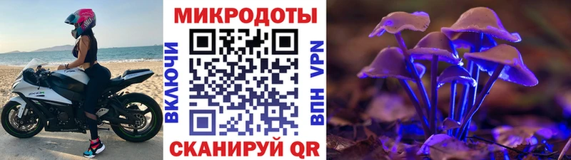 где купить наркоту Воркута Псилоцибиновые грибы Psilocybe